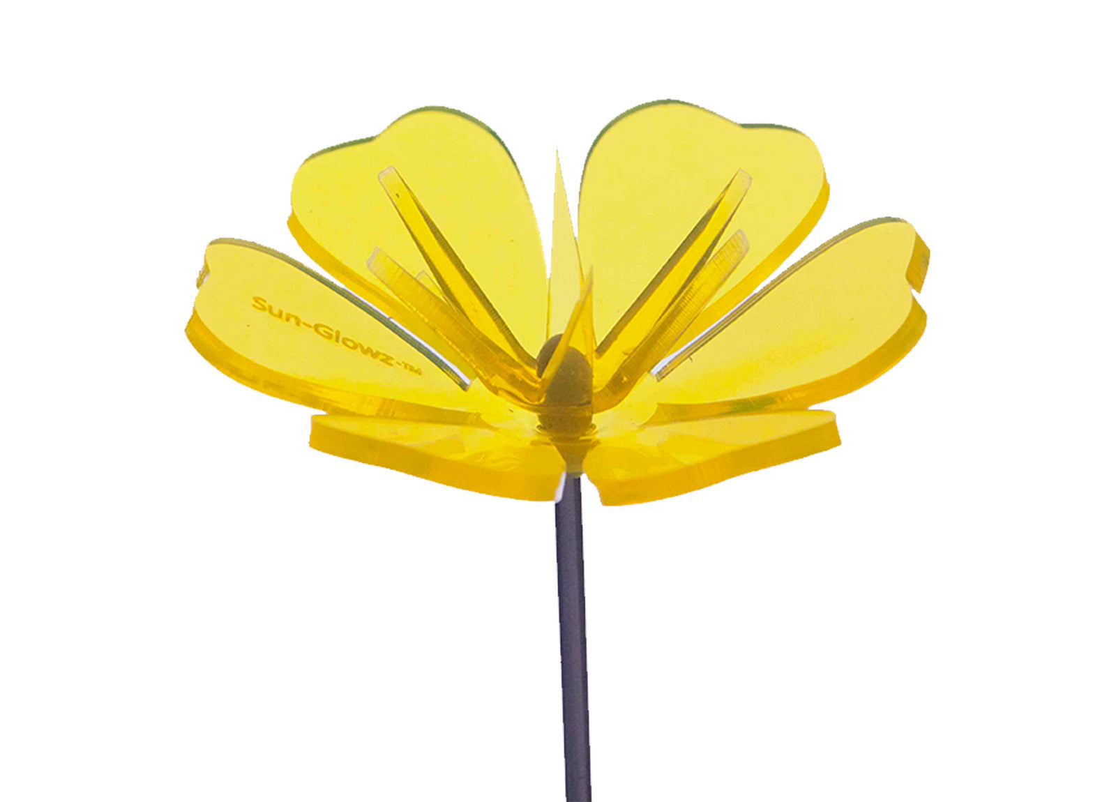 SUNBURST (Flower Two)