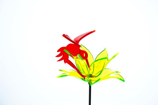 Sundrop Florescent Flower 1 with Hummingbird Stacked