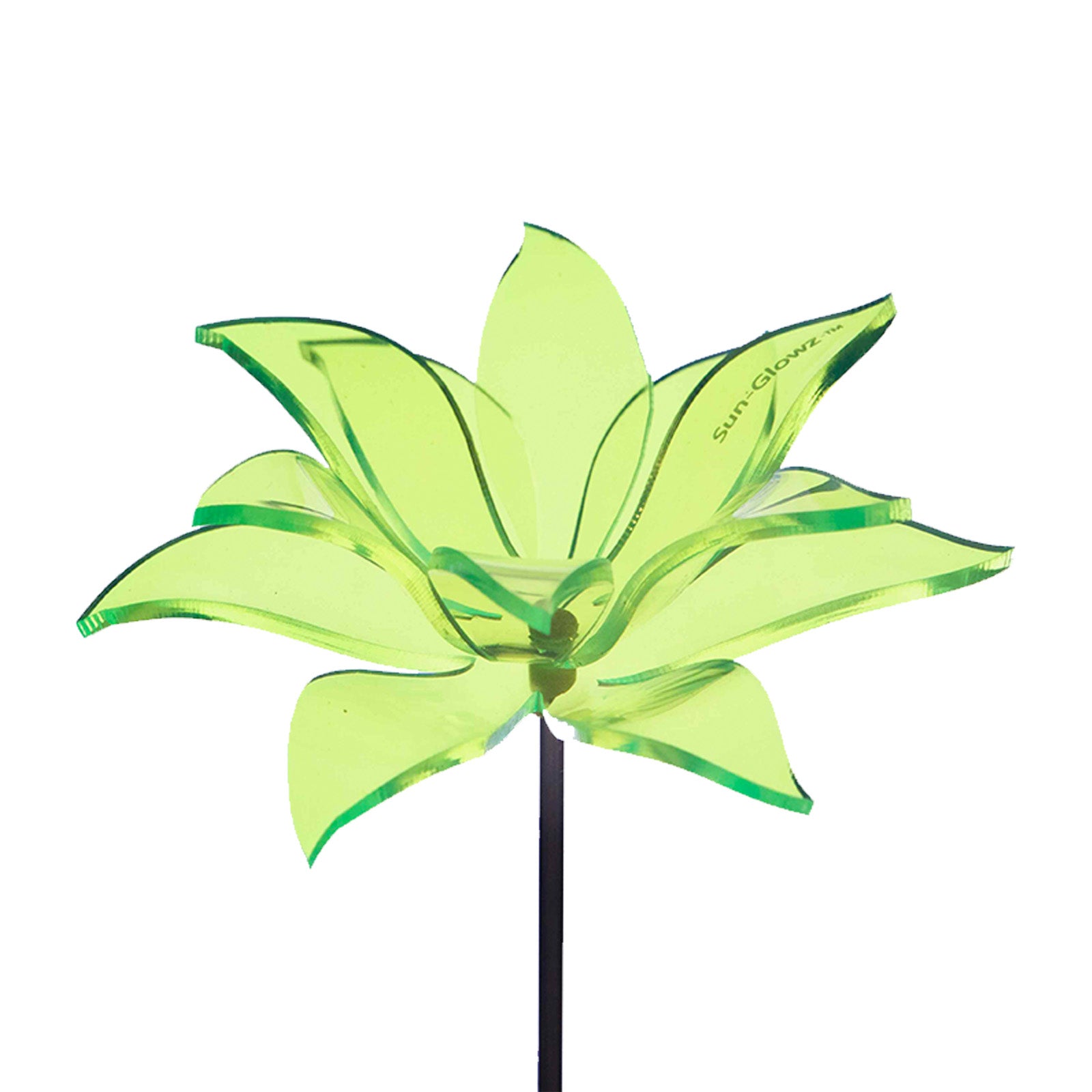 SUNDROP (Flower One)