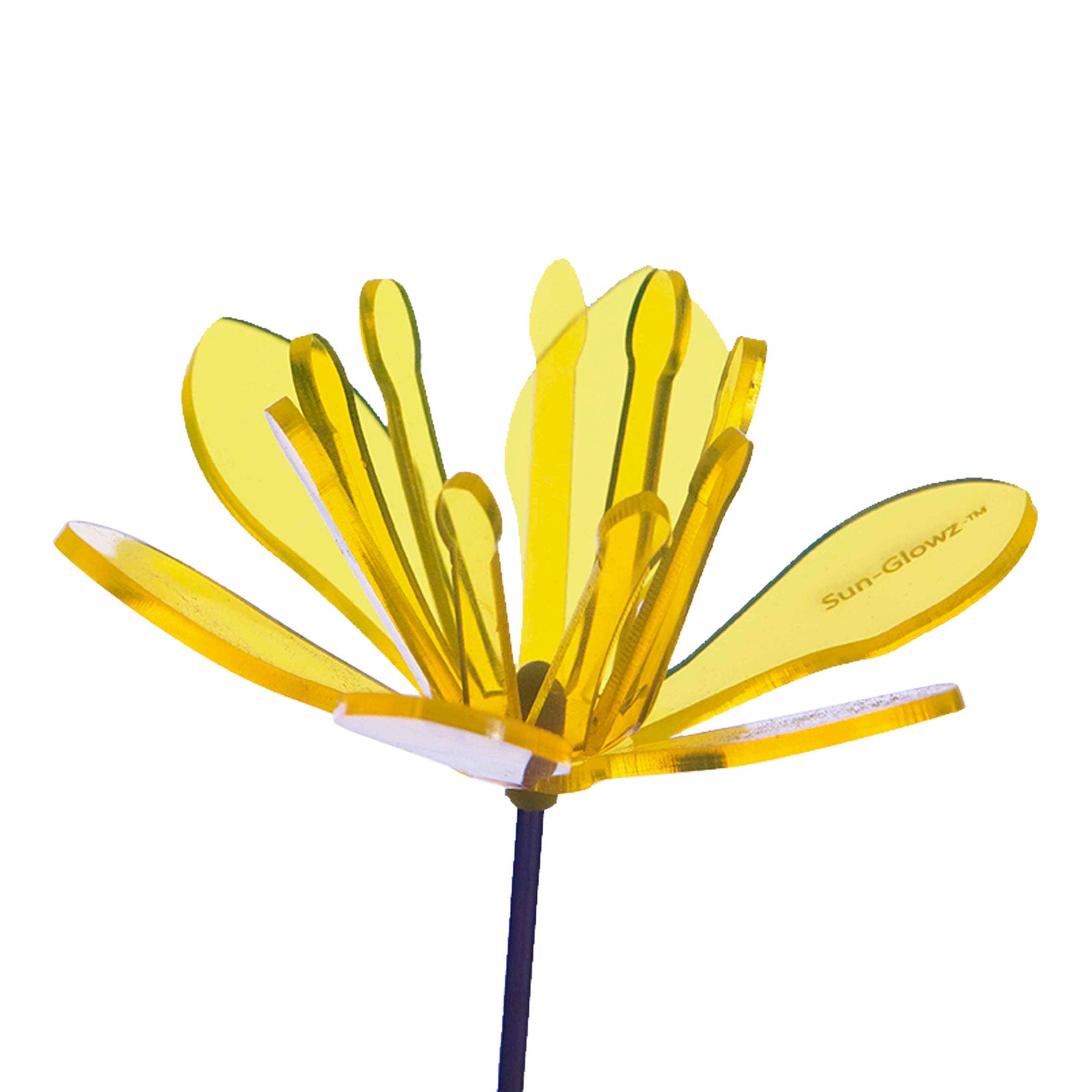 SUNFLARE (Flower Three)